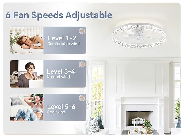 6 speeds fan