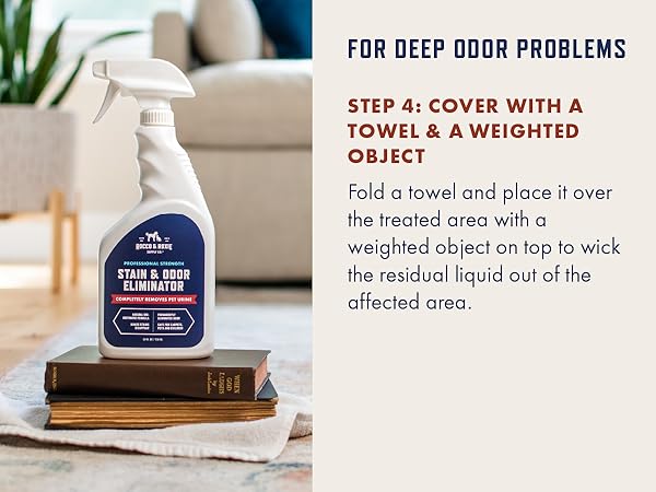 pet stain and odor remover
