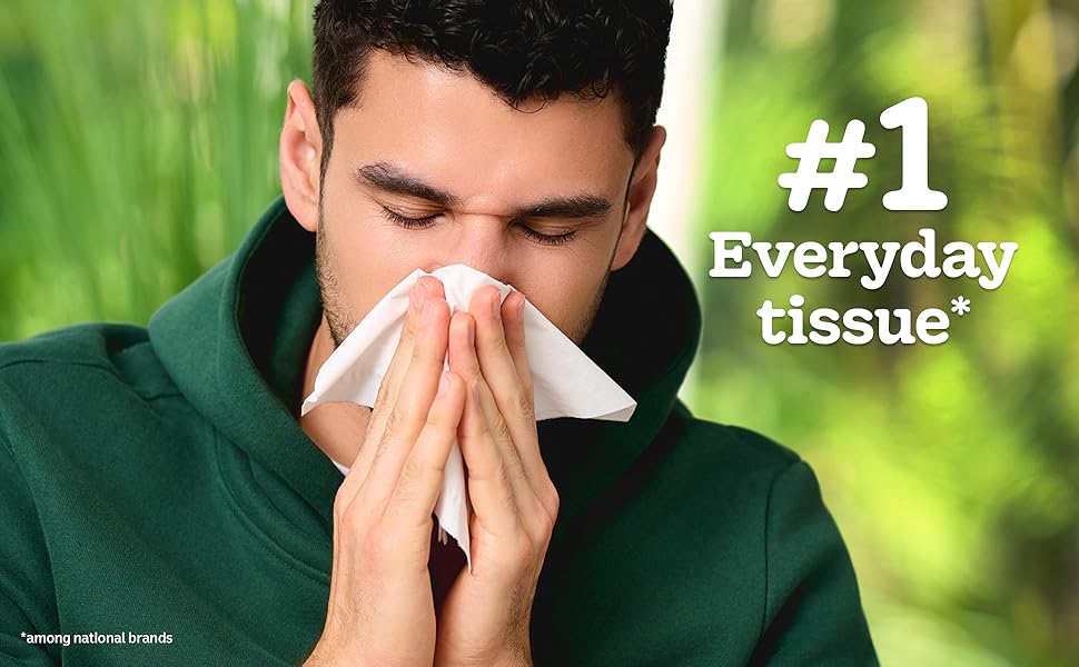 #1 Everyday tissue