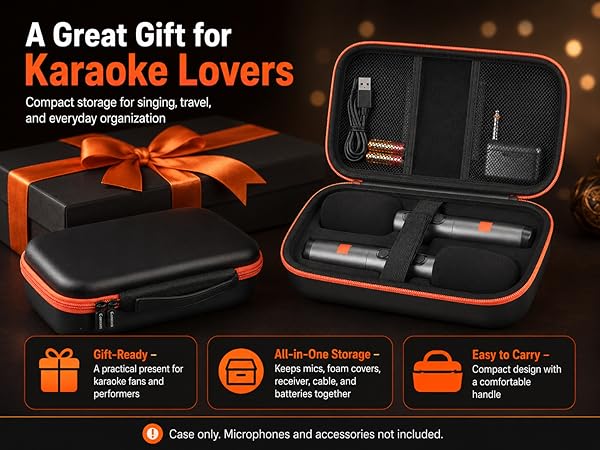 mic case for 2