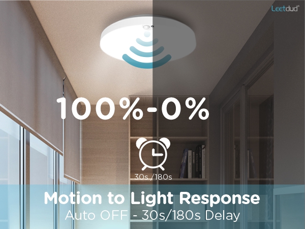 motion sensor light