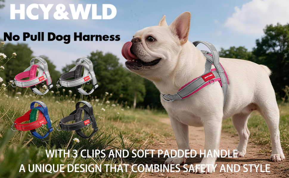 Dog Harness
