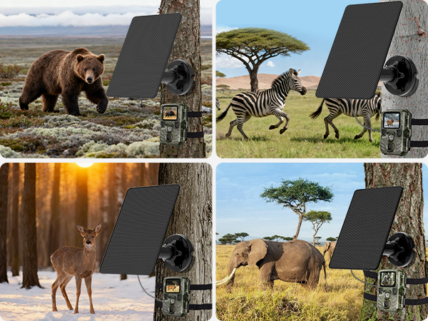 Trail Camera Solar Panel