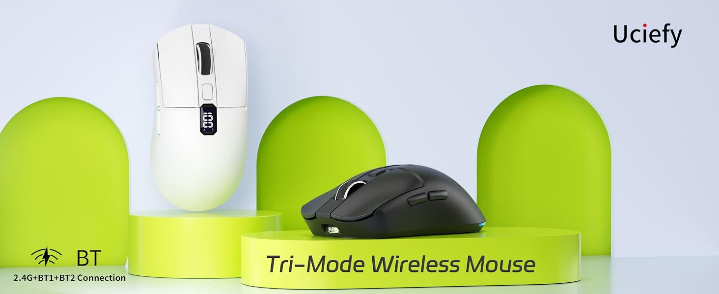 mouse