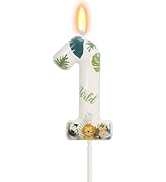 FAMGift Wild Animal Number 1 Candle for Boys Girls, Wild One Cake Topper, First Birthday Decorati...