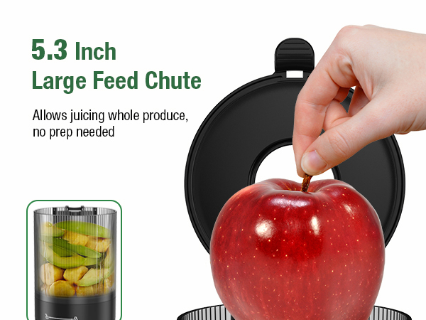 Cold Press Juicer with 5.3" Extra Large Feed Chute Fit Whole Fruits