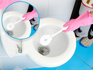tidy plunger seat set toto scrubs flushes scrubber new house must haves accesorios para