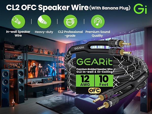 speaker wire with banana plug