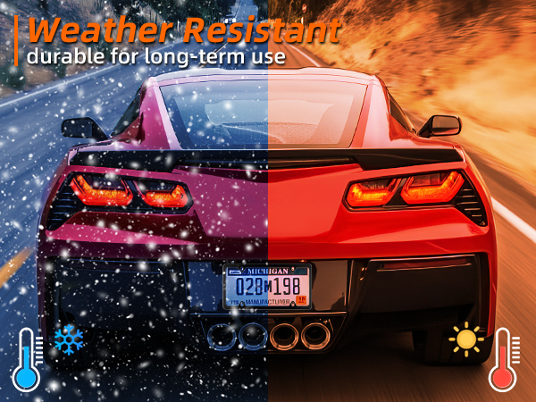 license plate frame