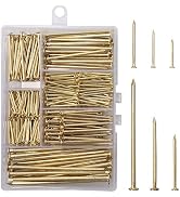 6 Sizes Gold Hardware Nails Assortment Kit, 358pcs, Brass Plated, Nails for Hanging Pictures, Fin...