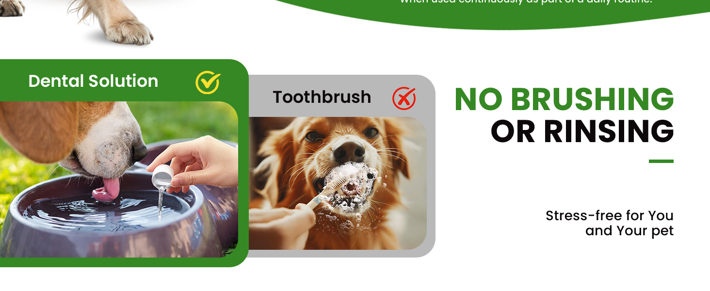fresh breath for dogs