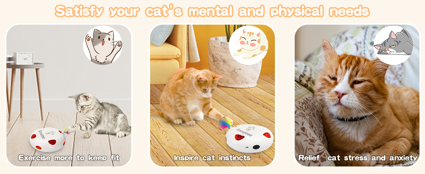 cat toys