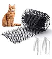 https://m.media-amazon.com/images/I/51mlObX-EeL.__AC_SR200,225___.jpg