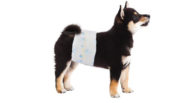 Disposable Dog Diapers Female