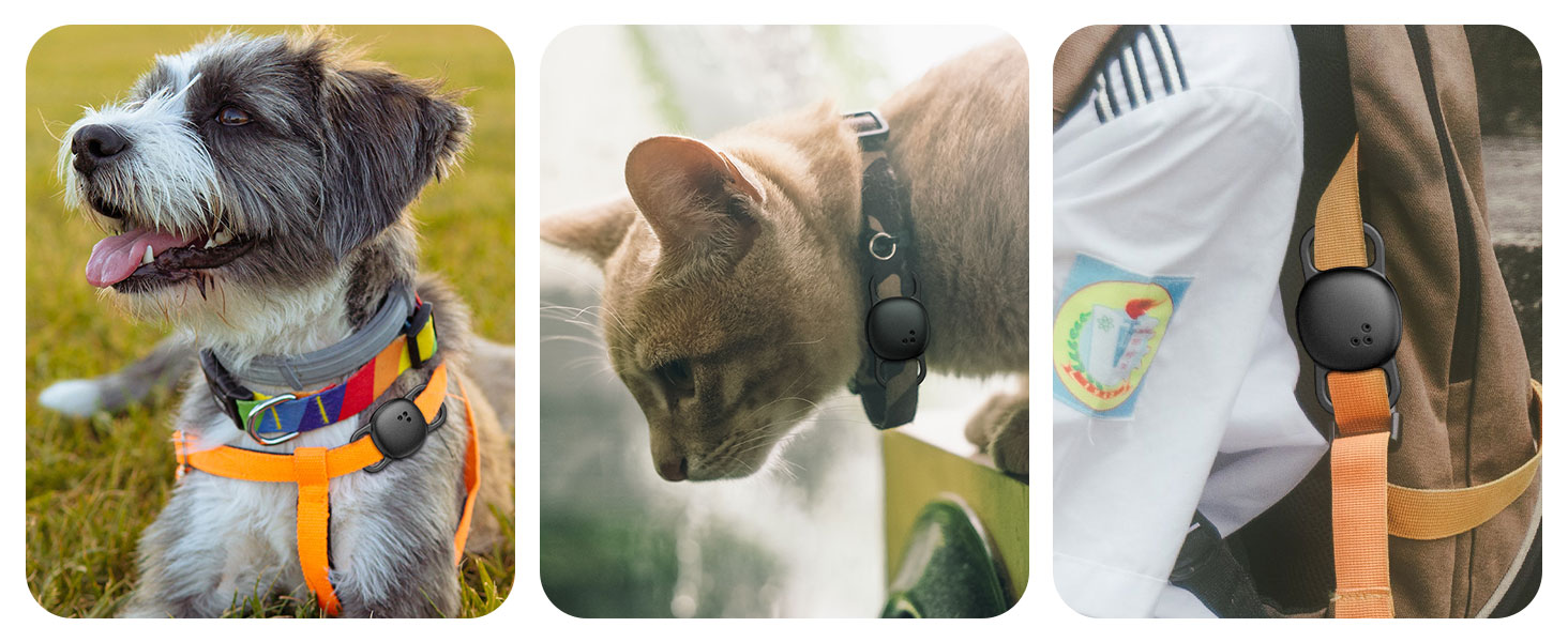 For pet collars For school bags For camping backpacks
