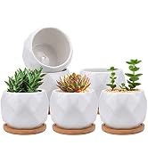 Jucoan 6 Pack Ceramic Succulent Planter Pot with Bamboo Tray, 4 Inches Small White Diamond Shaped...