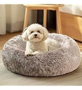 JOLLYVOGUE Dog & Cat Bed, Calming Anti-Anxiety Pet Bed for Small Dogs, Fluffy Donut Cushion for S...