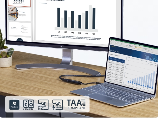 USB-A to HDMI Display Adapter