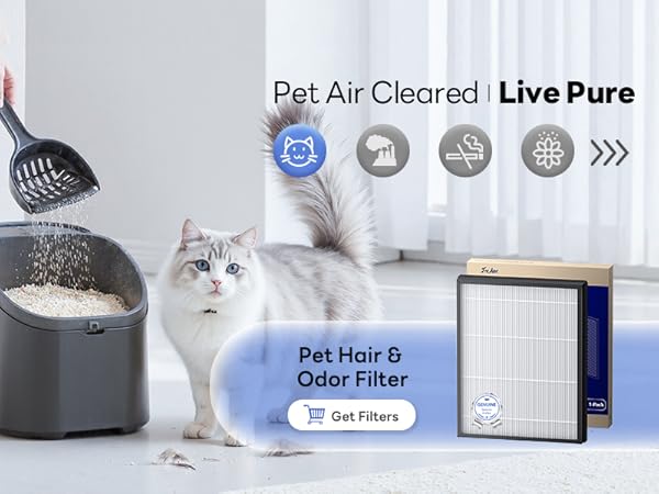 air purifier