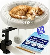 Cat Bed