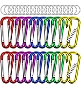 Small Carabiner Clip Keychain