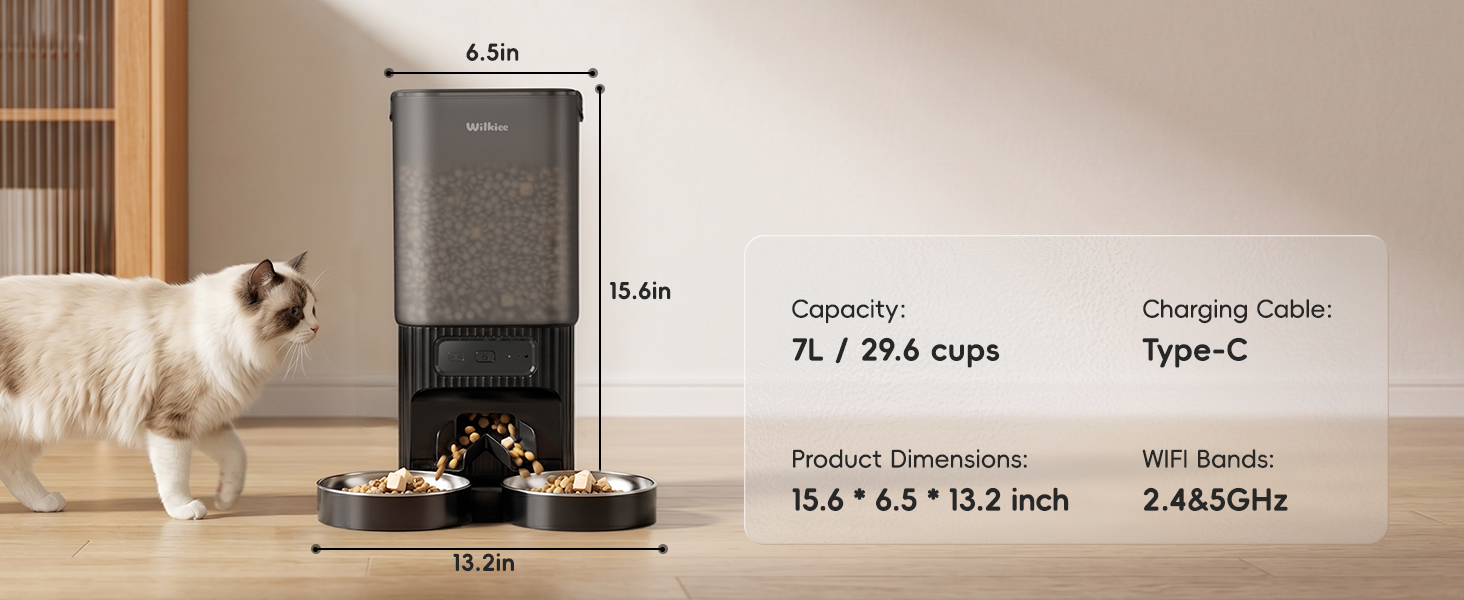 automatic feeder cat dry food