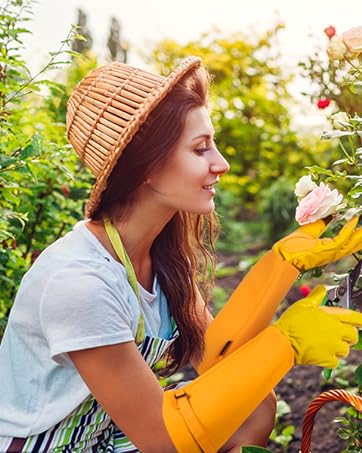 https://m.media-amazon.com/images/S/aplus-media-library-service-media/415ae7ba-7ba4-4e74-89cb-ab0b7a7ec5c9.__CR52,0,479,600_PT0_SX362_V1___.jpg