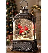 DenicMic Cardinal Snow Globe Lantern Christmas Decorations Indoor | Automatic Swirling Glitter Mu...