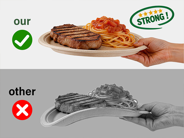heavy duty disposable plates