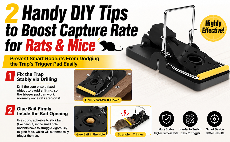 mouse traps