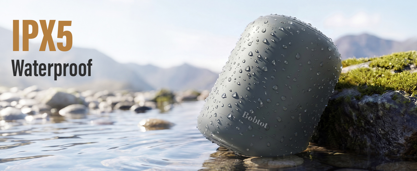 portable wireless speaker