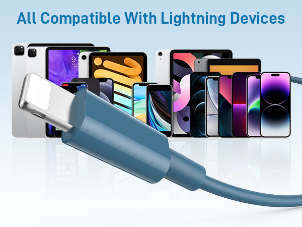 Compatible with iphone with lightning port