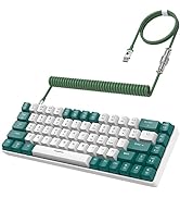 ZIYOU LANG RK-T8 Wired 65% Mechanical Gaming Keyboard with RGB LED Backlit Anti-ghosting TKL Mini...