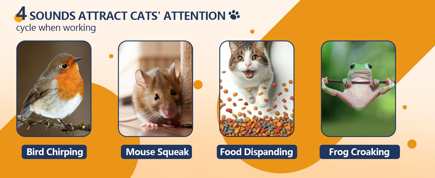 toys for cats indoor