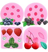 Zixiang Blueberry Raspberry Cherry Strawberry Cake Fondant Molds Berry Series Sugarcraft Gumpaste...