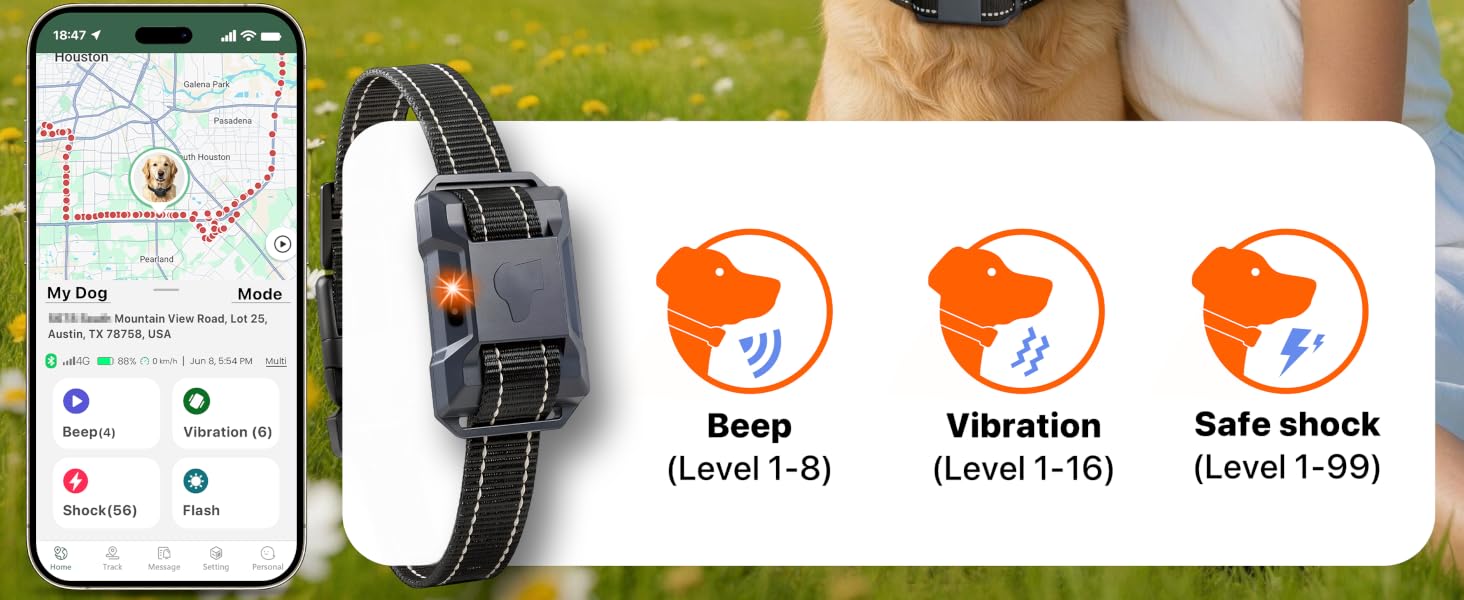 dog shock collar