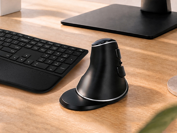 DELUX Wireless Ergonomic Vertical Mouse,Ergo Mouse for Large Hands (M618PD)