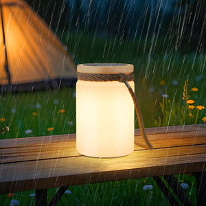 Solar Cordless Table Lamp