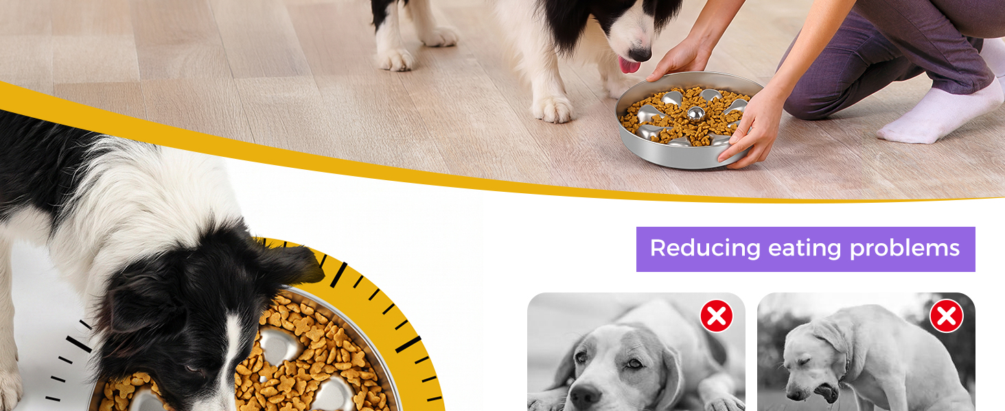 slow feeder dog bowls