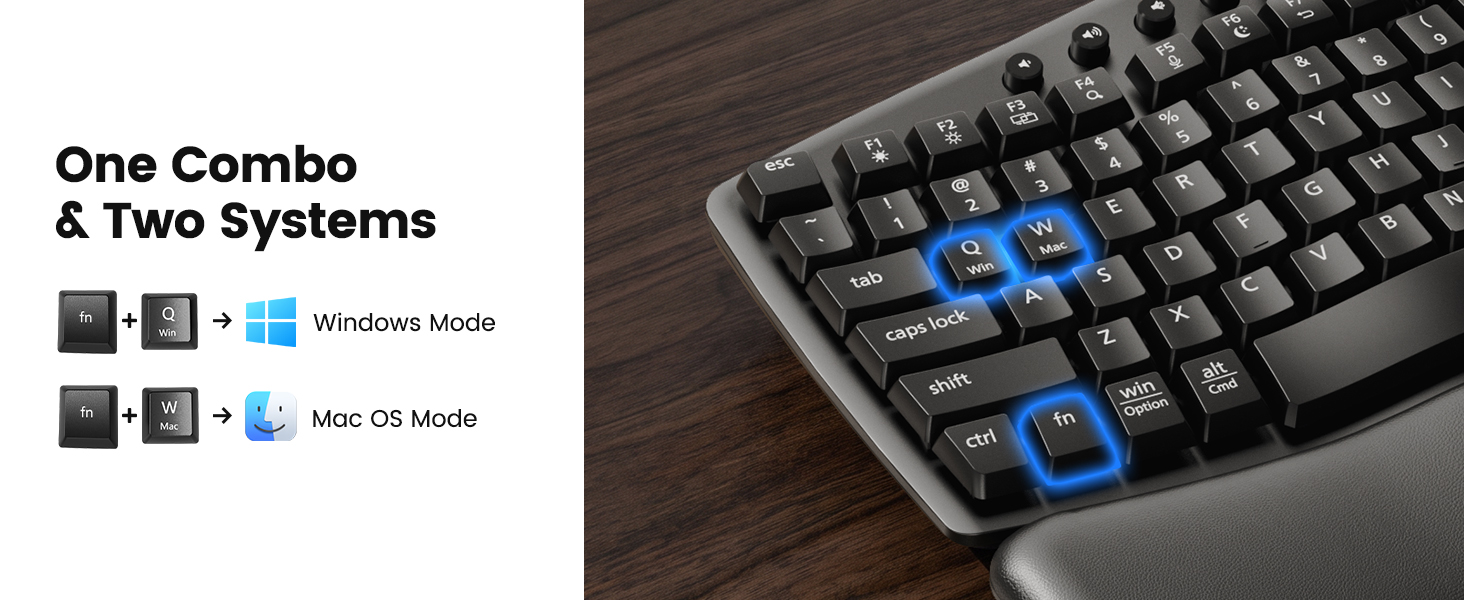 keyboard and mouse