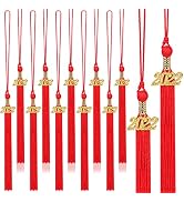 20Pcs Red Graduation Tassels Academic Graduation Cap Hat Tassel with 2022 Gold Charm for 2022 Gra...