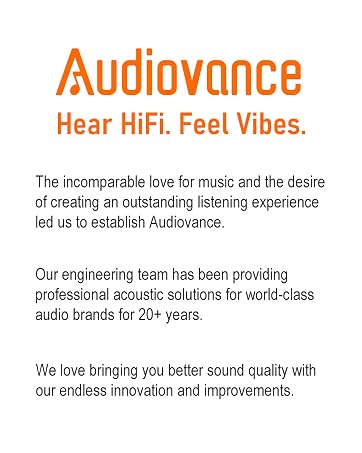 Audiovance HiFi Wired Earbuds VIbes 202
