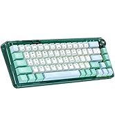 CHICHEN 60% Portable Mechanical Gaming Keyboard,Hot-swappable RGB Backlit Compact 68 with PBT Key...