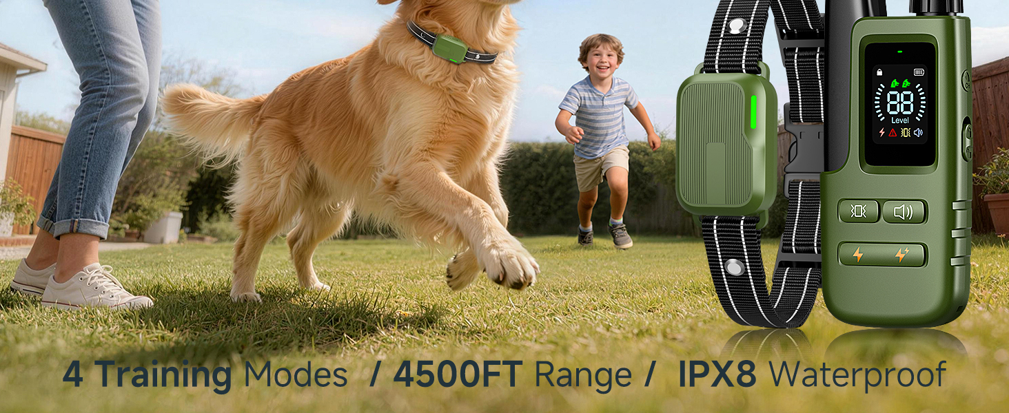 shock collar for dogs