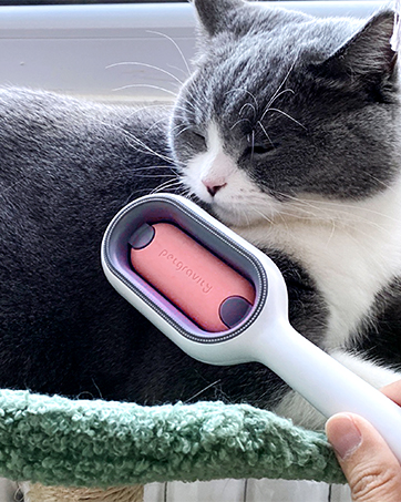 cat long brush