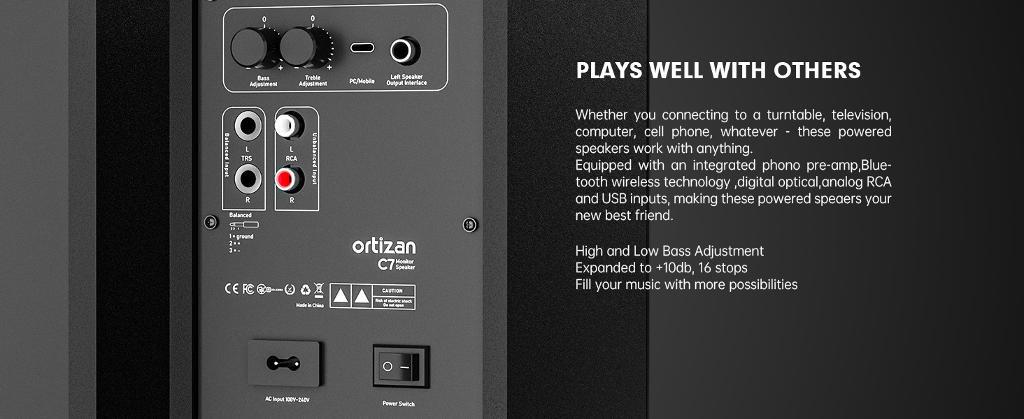 Active Monitor Speaker