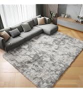 ONASAR Area Rugs for Living Room Bedroom, 5x8 Fluffy Tie-Dyed Light Grey Bedside Rug, Soft Plush ...