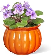 BUYMAX African Violet Pots, 6 inch Pumpkin-Style Ceramic Easy Self Watering Plant Pot for Busy Pl...