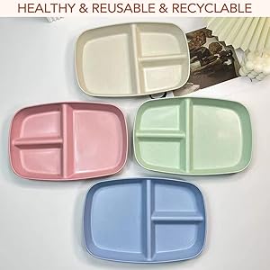 Divided Plates 10.5 Inch