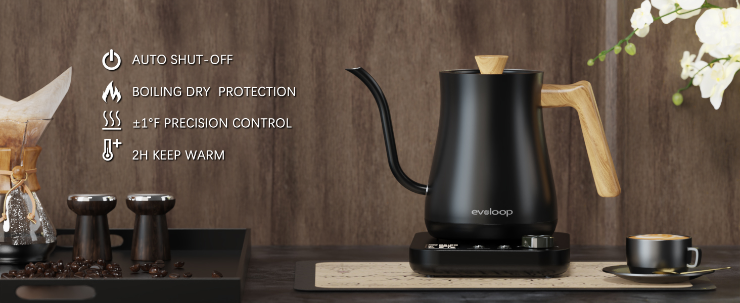 Gooseneck Electric Kettle